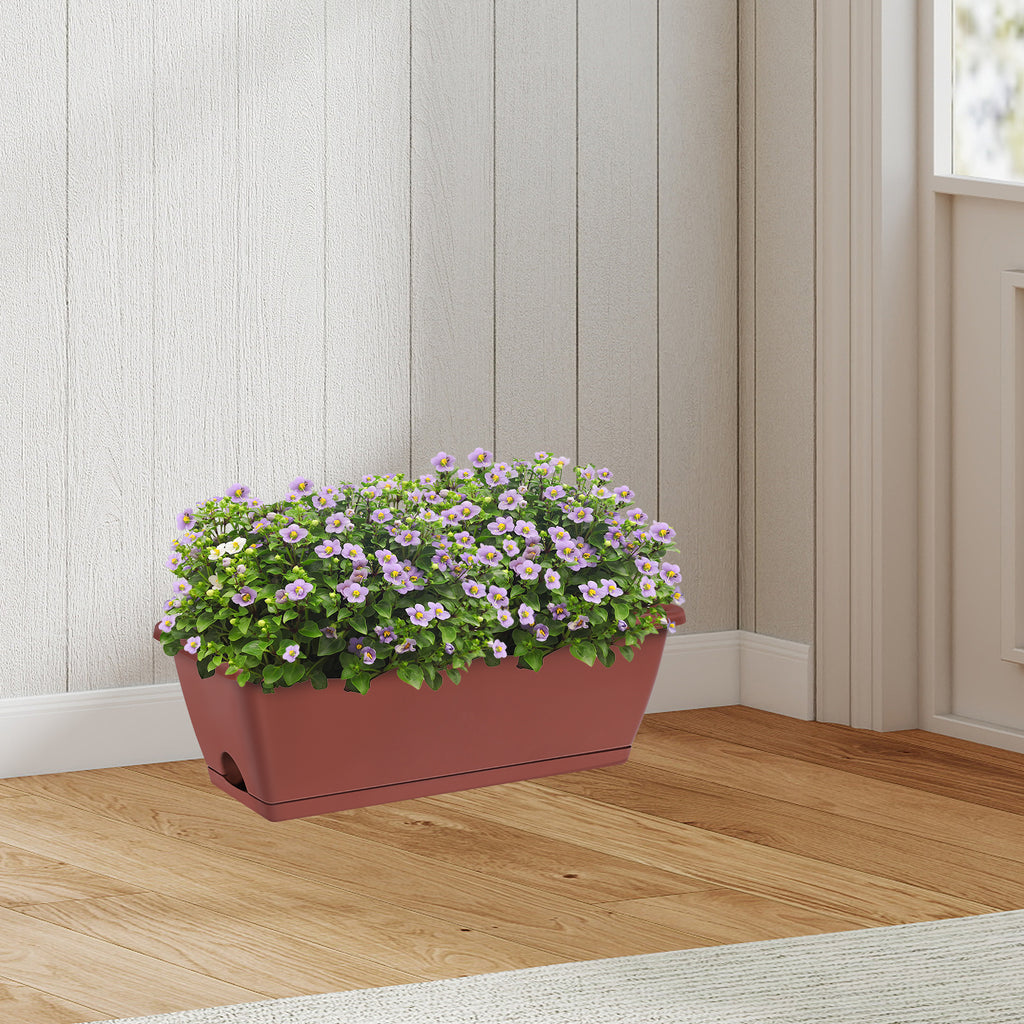 5-Pack Rectangular Flower Window Boxes - Large Plastic Planter Pots with Trays - Modern Herb & Vegetable Planting Boxes for Balcony & Windowsill