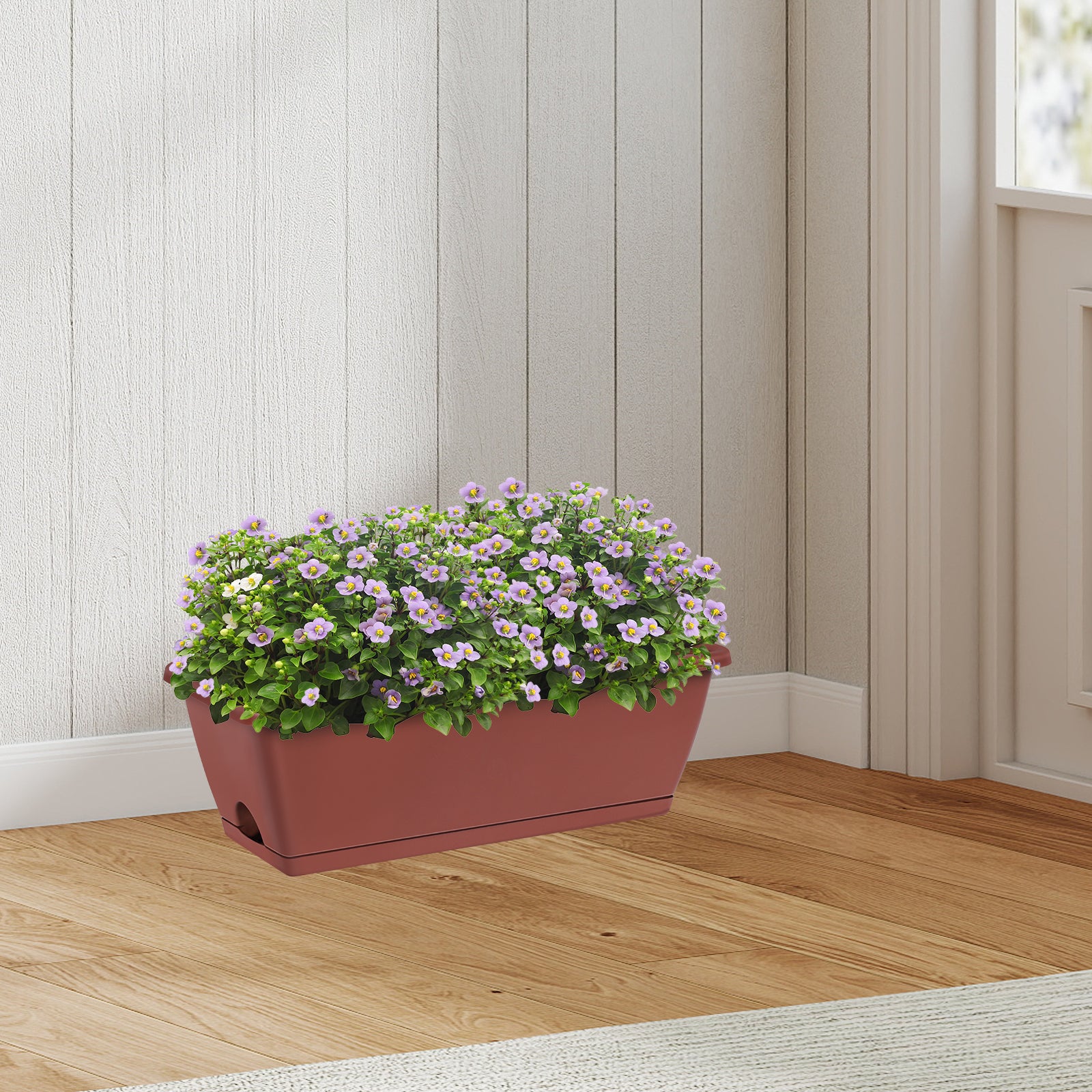 5-Pack Rectangular Flower Window Boxes - Large Plastic Planter Pots with Trays - Modern Herb & Vegetable Planting Boxes for Balcony & Windowsill
