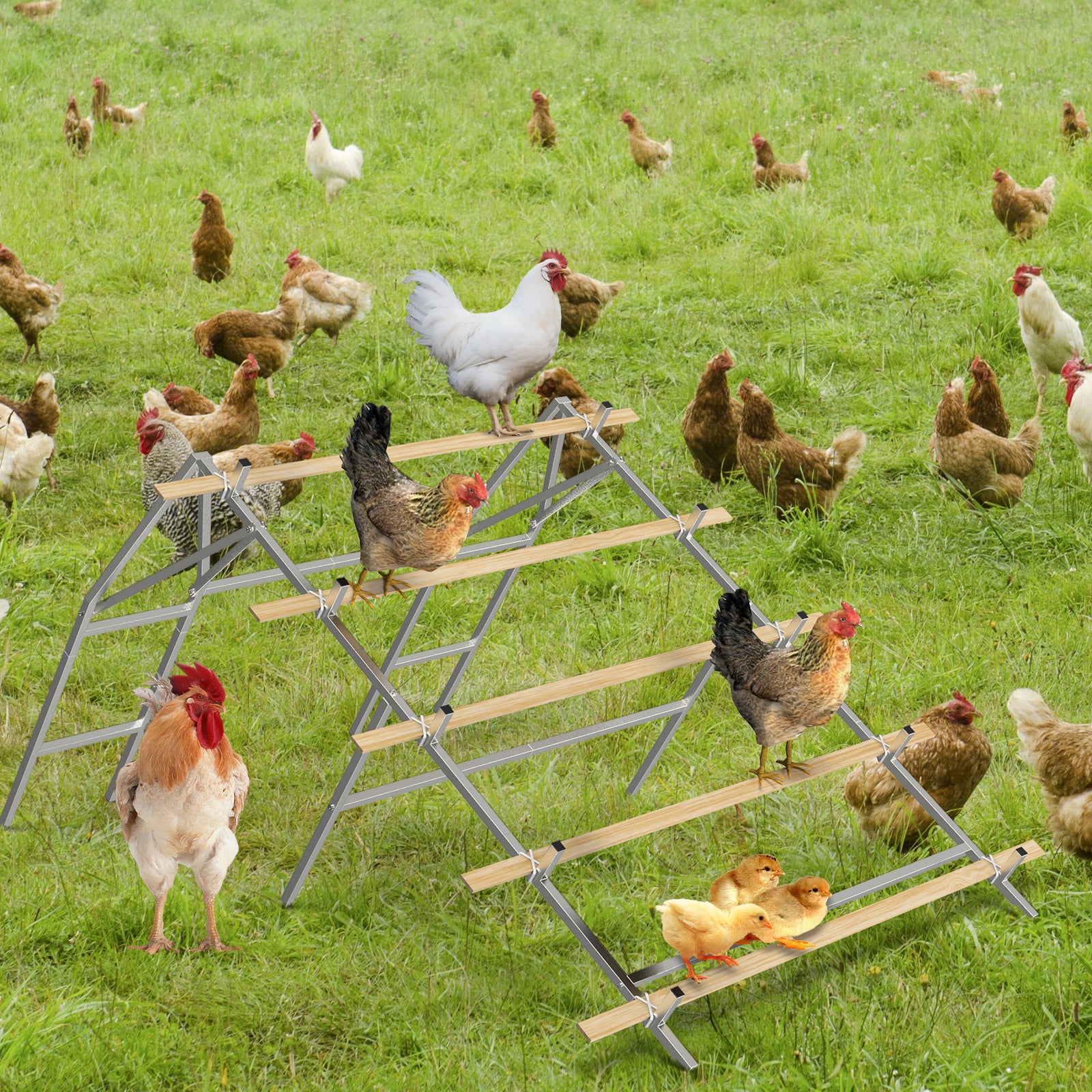 Metal Chicken Roosting Bar Ladder for Coop with 20 Ties