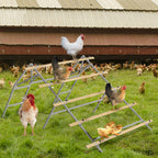 Metal Chicken Roosting Bar Ladder for Coop with 20 Ties