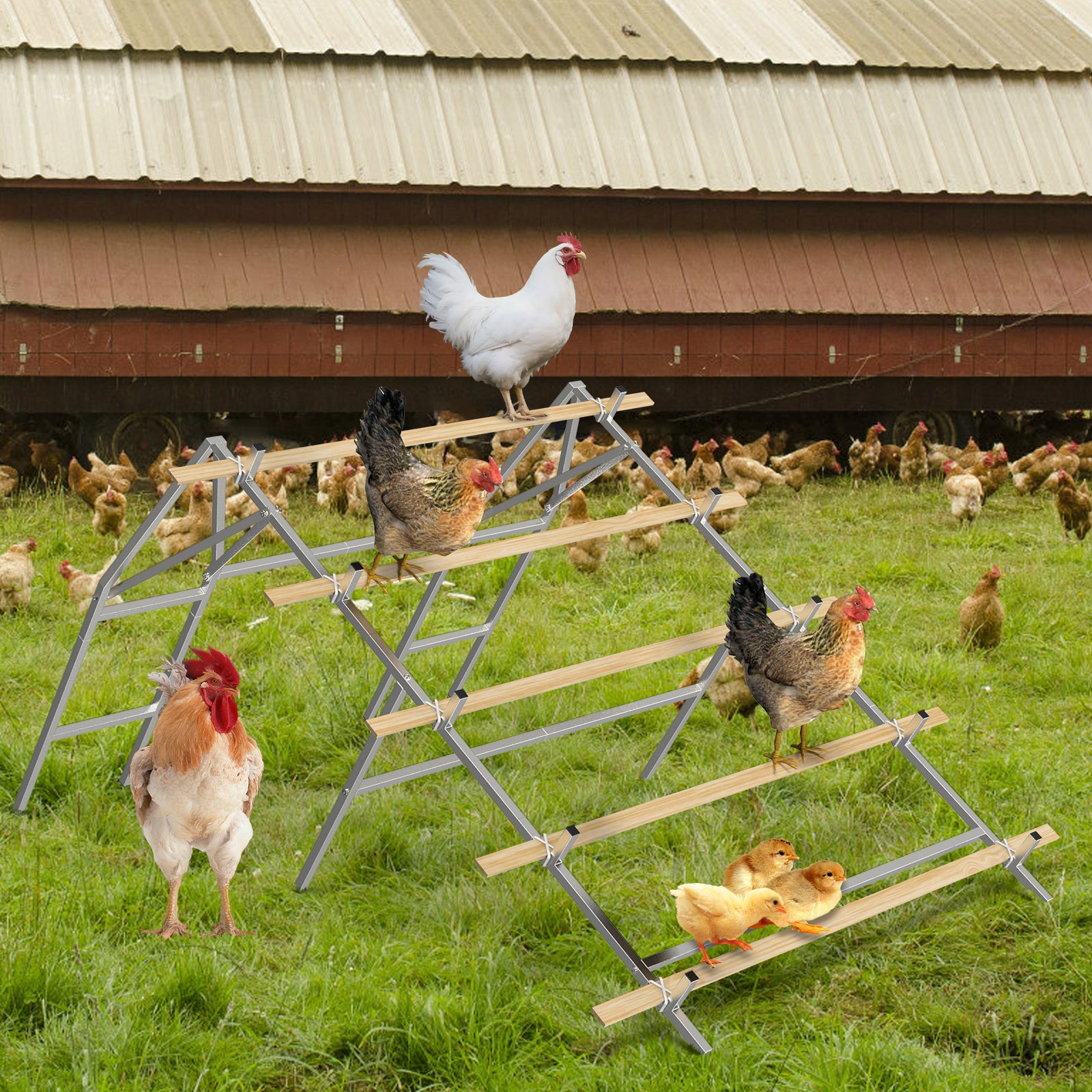 Metal Chicken Roosting Bar Ladder for Coop with 20 Ties