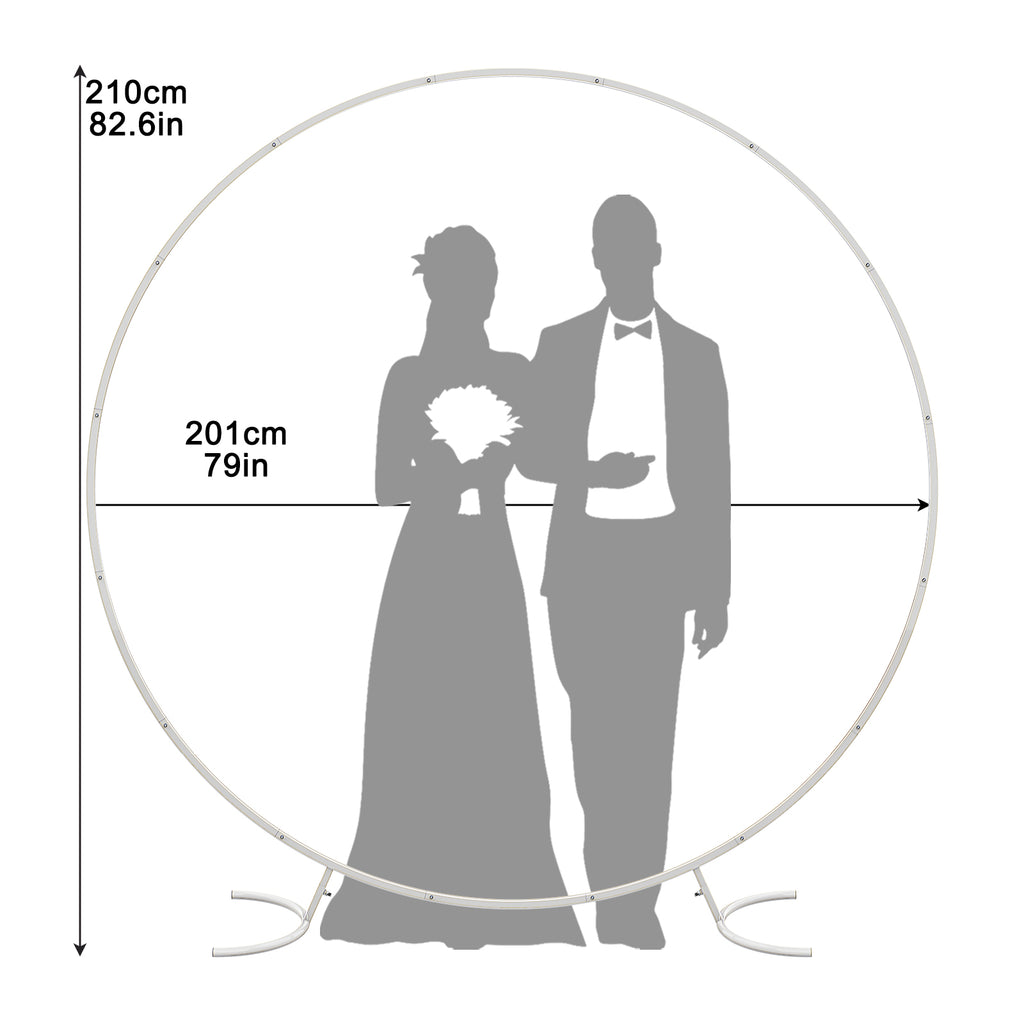 6.6ft White Circle Balloon Arch Stand, Metal Round Backdrop Frame for Wedding & Baby Shower