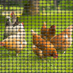 4' x 100' Plastic Mesh Safety Fence - High-Visibility Construction Barrier Netting - Includes 100 Zip Ties for Garden & Poultry