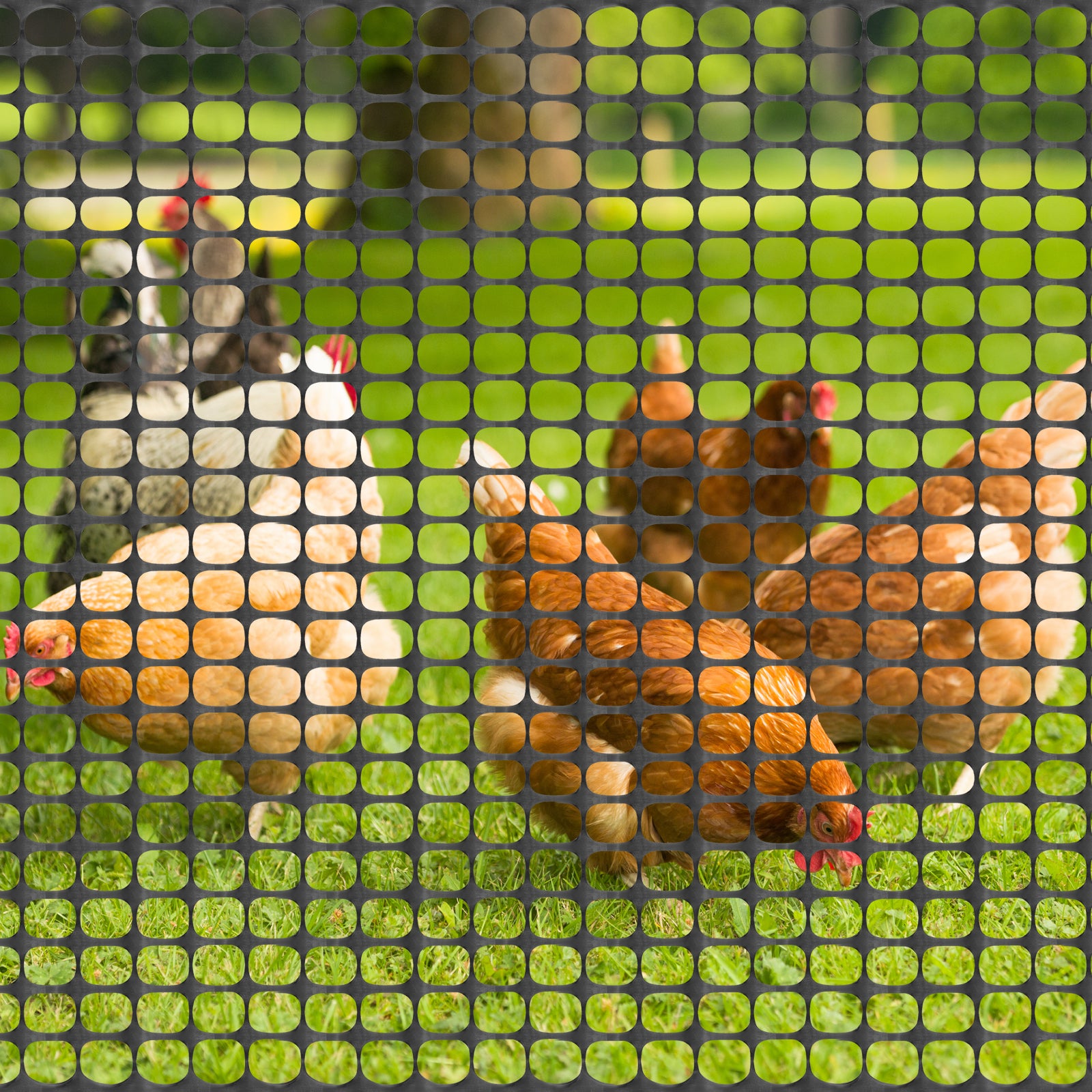 4' x 100' Plastic Mesh Safety Fence - High-Visibility Construction Barrier Netting - Includes 100 Zip Ties for Garden & Poultry