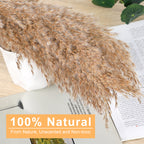 Boho Dried Flower Decor, Fluffy Brown Dried Pampas Grass with Yellow Billy Buttons, Natural Long Dried Grass Stems for Bedroom Bathroom Wedding Centerpiece Vase Fillers