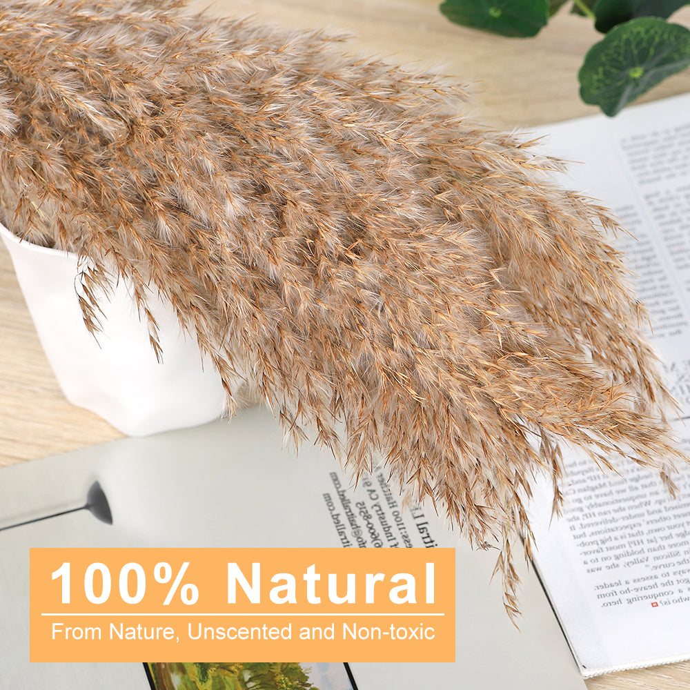 Boho Dried Flower Decor, Fluffy Brown Dried Pampas Grass with Yellow Billy Buttons, Natural Long Dried Grass Stems for Bedroom Bathroom Wedding Centerpiece Vase Fillers