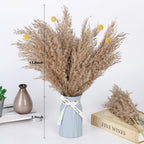 Boho Dried Flower Decor, Fluffy Brown Dried Pampas Grass with Yellow Billy Buttons, Natural Long Dried Grass Stems for Bedroom Bathroom Wedding Centerpiece Vase Fillers