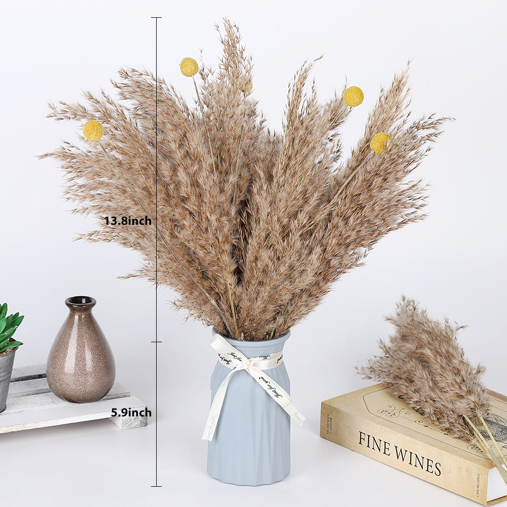 Boho Dried Flower Decor, Fluffy Brown Dried Pampas Grass with Yellow Billy Buttons, Natural Long Dried Grass Stems for Bedroom Bathroom Wedding Centerpiece Vase Fillers