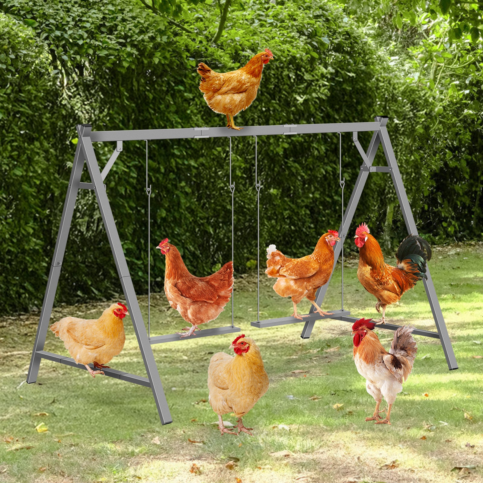 Chicken Perch & Swing Set - Durable Chicken Roosting Bars for Coop Accessories & Activity Play Toys