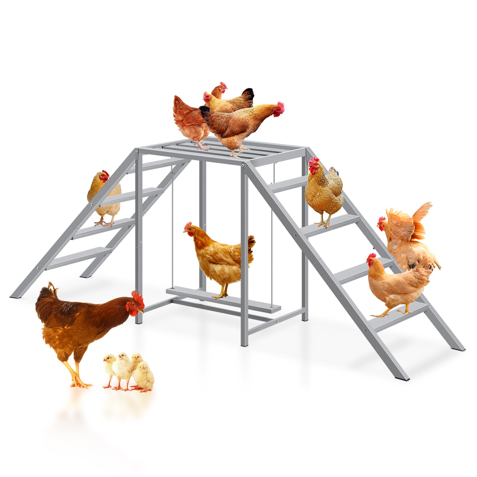 Wooden Chicken Roosting Bars & Perches with Swing - Coop Ladder & Activity Toy for Poultry