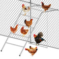 Simple with Swing Chicken Climbing Frame, Chicken Perch, Henhouse Climbing Frame, Applicable To Farms, Backyards