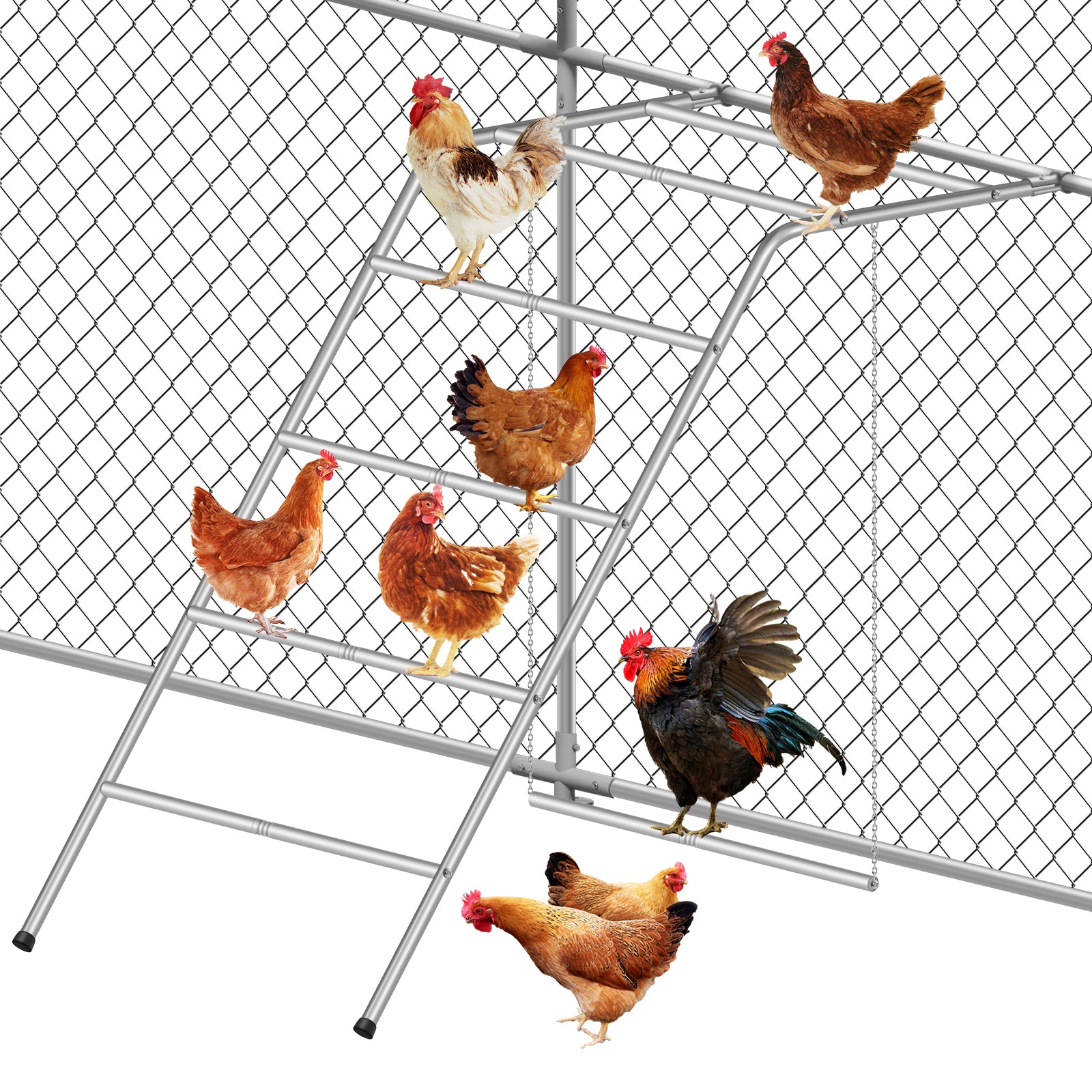 Simple with Swing Chicken Climbing Frame, Chicken Perch, Henhouse Climbing Frame, Applicable To Farms, Backyards
