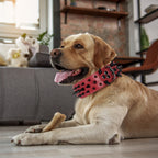 Punk Spiked Studded Dog Collar, Heavy-Duty Red PU Leather Pet Collar for Medium & Large Dogs