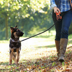 16.5ft Retractable Dog Leash for Large Dogs, Heavy Duty Walking Leash for Pets up to 110 lbs, 360Â¡Ã£ Tangle-Free with Anti-Slip Handle,