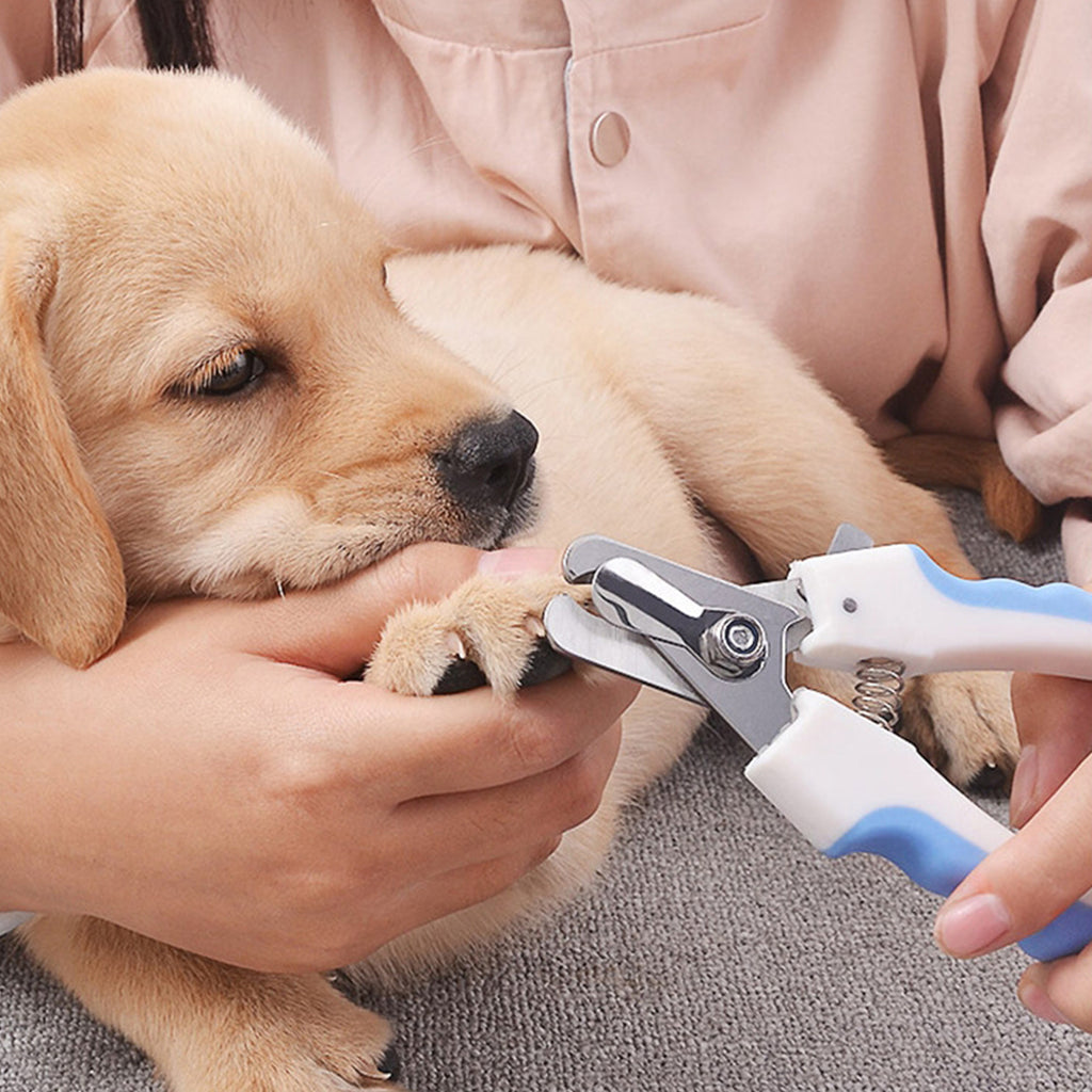 Stainless Steel Pet Grooming Clippers with Safety Guard for Cat and Dog Claw Maintenance