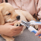 Stainless Steel Pet Grooming Clippers with Safety Guard for Cat and Dog Claw Maintenance