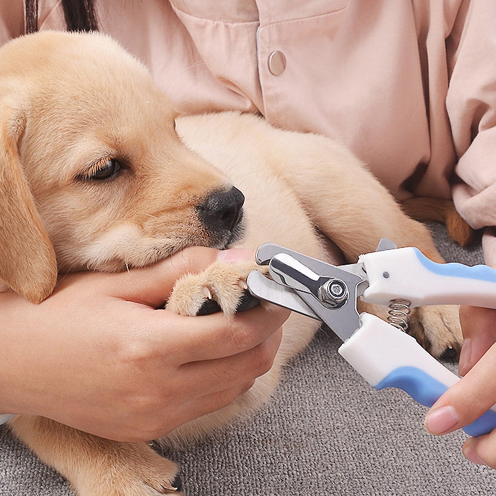 Stainless Steel Pet Grooming Clippers with Safety Guard for Cat and Dog Claw Maintenance