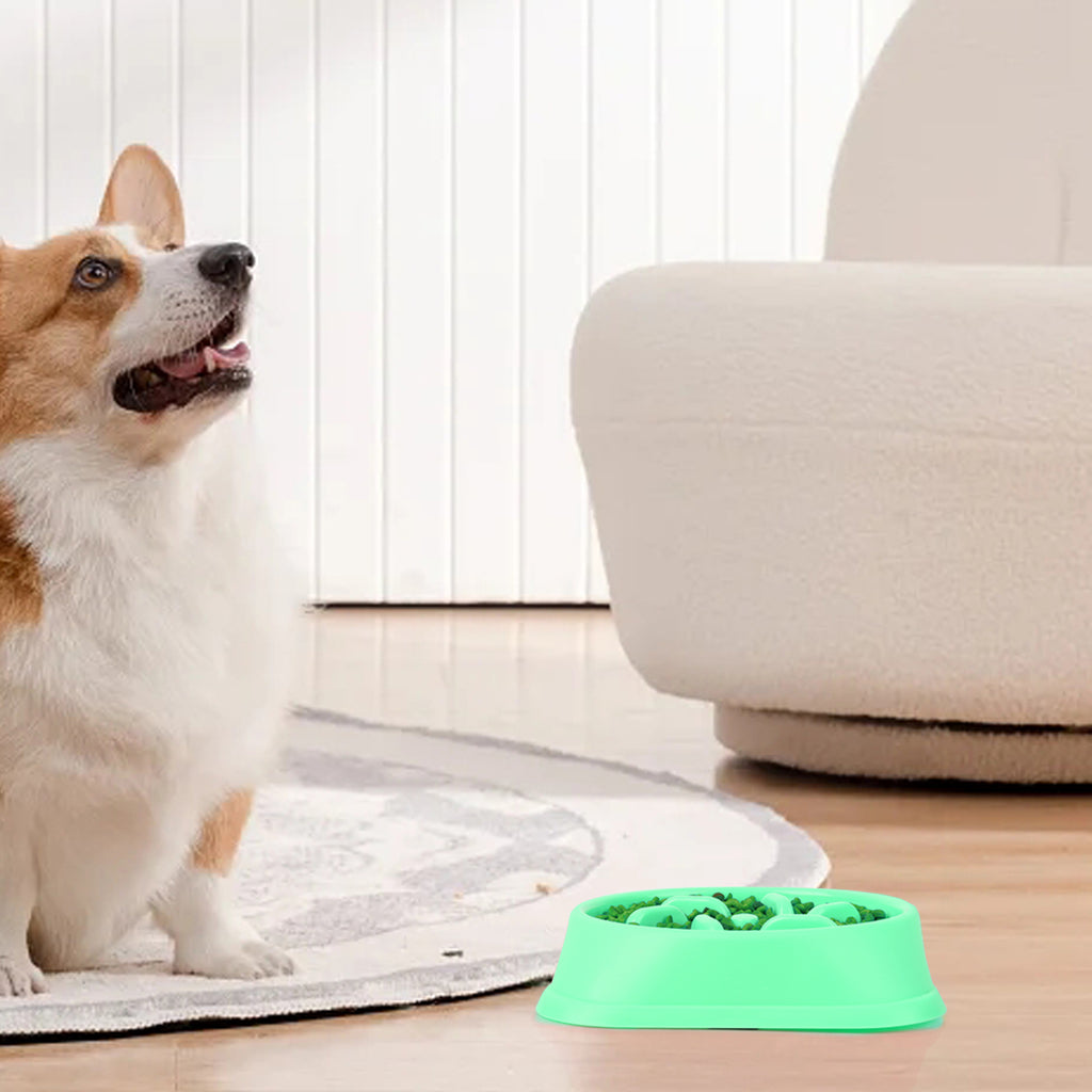 Slow Feeder Dog Bowl, Non-Slip Anti-Gulping Pet Dish for Healthy Eating (BPA-Free Green)