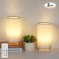 Dimmable Touch RGB Table Lamps (Set of 2)， Color Changing Night Lights with Remote Control.