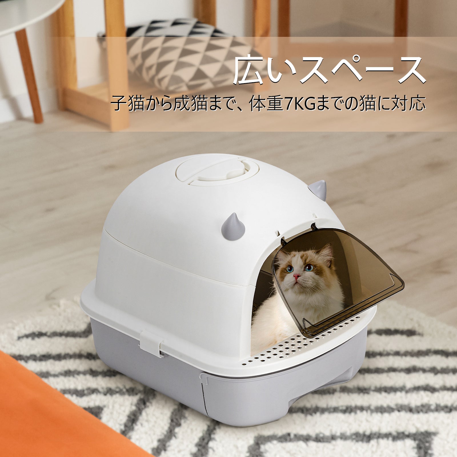 Enclosed Cat Litter Box with Lid, Large Space for Cats, Drawer Type Cat Toilet