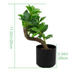 Realistic Artificial Wealth Tree Potted Plant, Faux Money Tree Greenery for Modern Office & Housewarming Gift