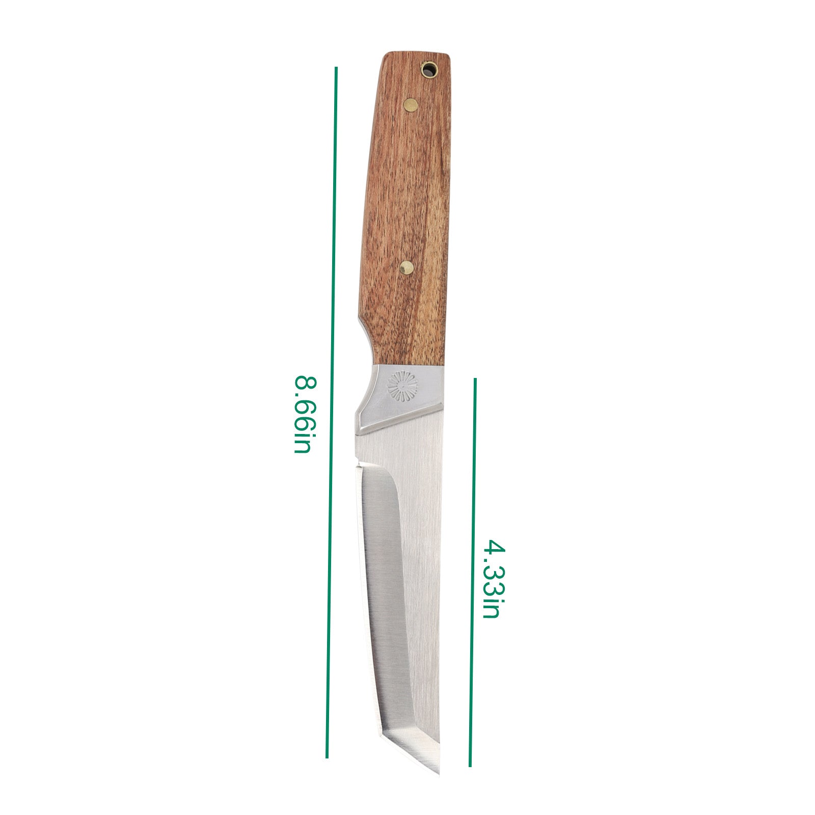 Tactical Fixed Blade Tanto Knife with Nylon Sheath - D2 Steel Outdoor Survival Knife for Camping and EDC