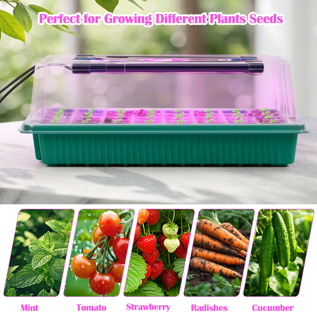 Seed Starter Tray with Grow Light, 2pcs 80 Cells Seedling Tray Kit with Humidity Hood and Drainage Hole, Adjustable Light & Timing, Perfect for Indoor Seed Cultivation
