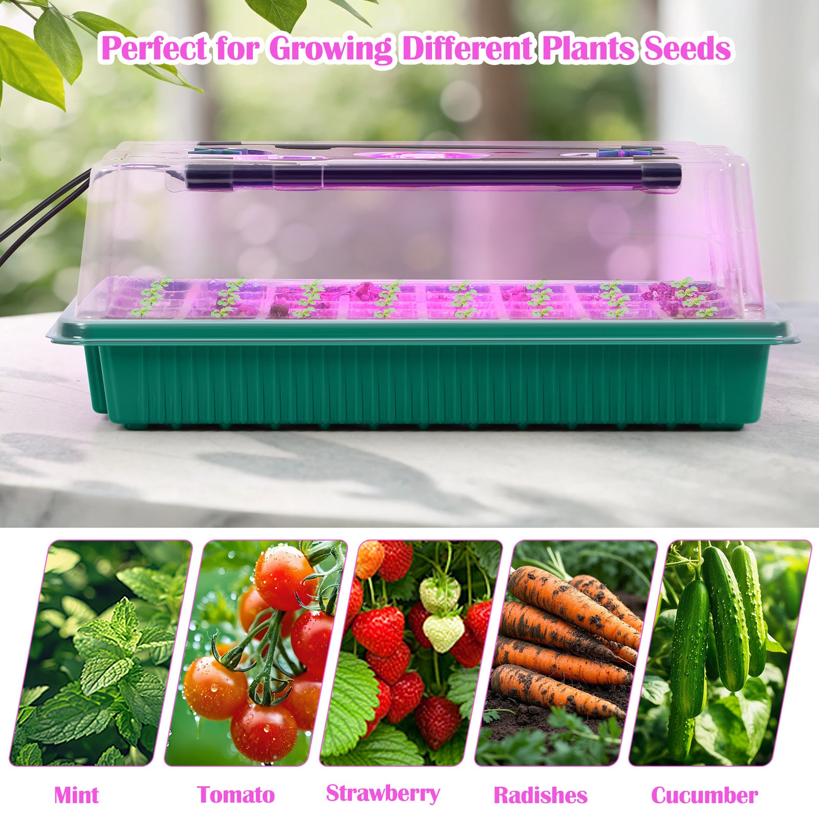 Seed Starter Tray with Grow Light, 2pcs 80 Cells Seedling Tray Kit with Humidity Hood and Drainage Hole, Adjustable Light & Timing, Perfect for Indoor Seed Cultivation