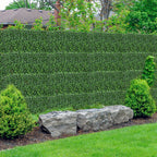 Artificial Green Wall Panel - 4-layer Leaves, 17"x 13" Grass Wall Panel, Artificial Green Wall Panel Boxwood Privacy Fence Screen Sun Protection, Suitable for Both Outdoor and Indoor Decoration