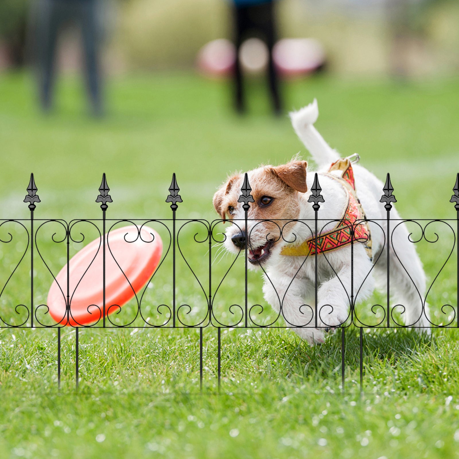 7 Pcs Easy Assembly Rustproof Fence Panels for Yard Lawn, Decorative Metal Outdoor Fences and Borders, Total 26. 4 inch(H) x 10ft(L) Garden Fencing Animal Barrier, for Dogs, Flower Bed, Patio, Square