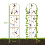 2-Pack Dragonfly Garden Trellis - 52inch Rustproof Metal Plant Support - Decorative Arched Trellis for Climbing Flowers & Vines