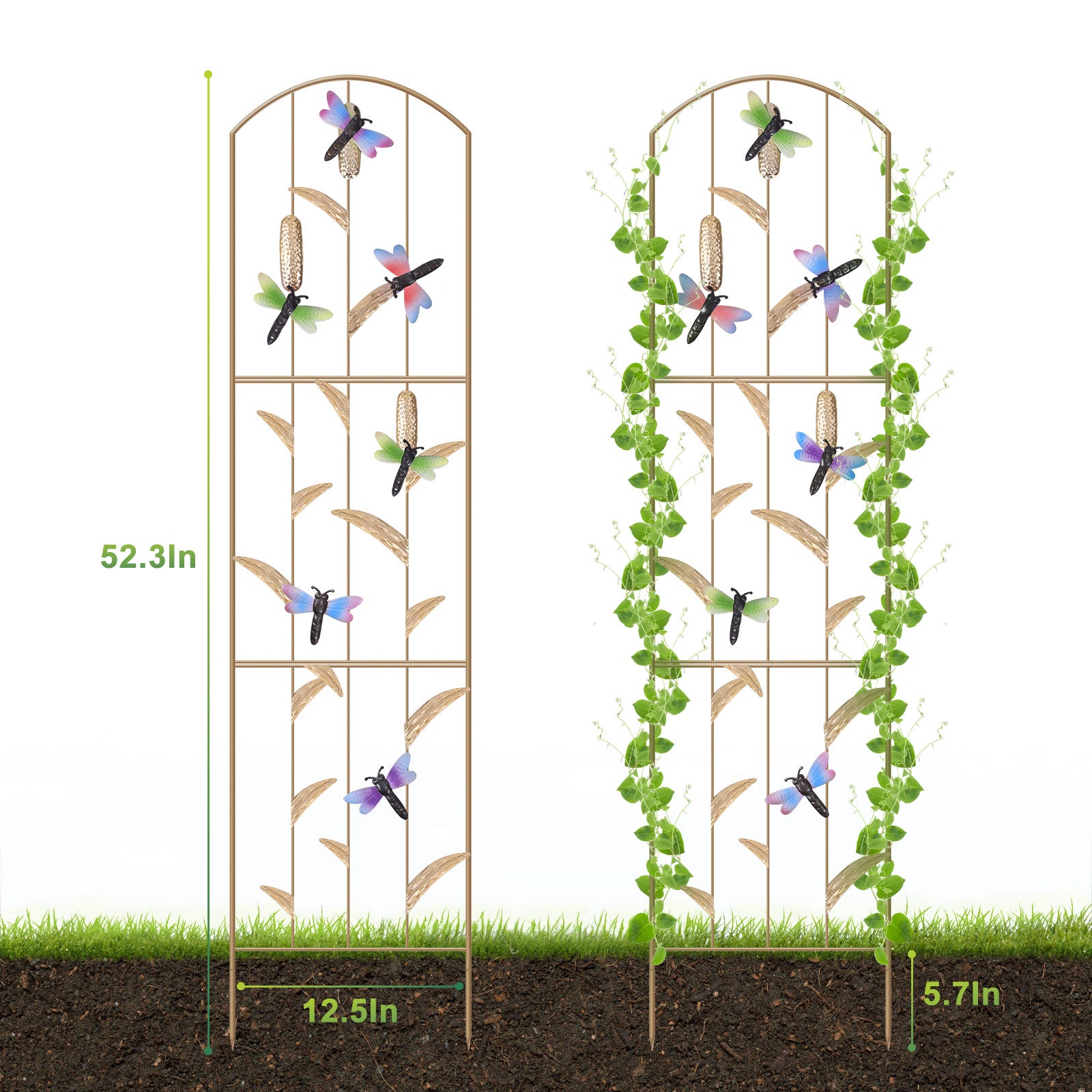 2-Pack Dragonfly Garden Trellis - 52inch Rustproof Metal Plant Support - Decorative Arched Trellis for Climbing Flowers & Vines