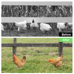 Hardware Cloth 1/4 inch (23 GA) 16in x 66ft/20ft Chicken Wire Fencing, Hot Dipped Galvanized Metal Wire Mesh Roll for Chicken Coop Rabbit Cages Snake Fence