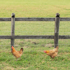 Hardware Cloth 1/4 inch (23 GA) 16in x 66ft/20ft Chicken Wire Fencing, Hot Dipped Galvanized Metal Wire Mesh Roll for Chicken Coop Rabbit Cages Snake Fence