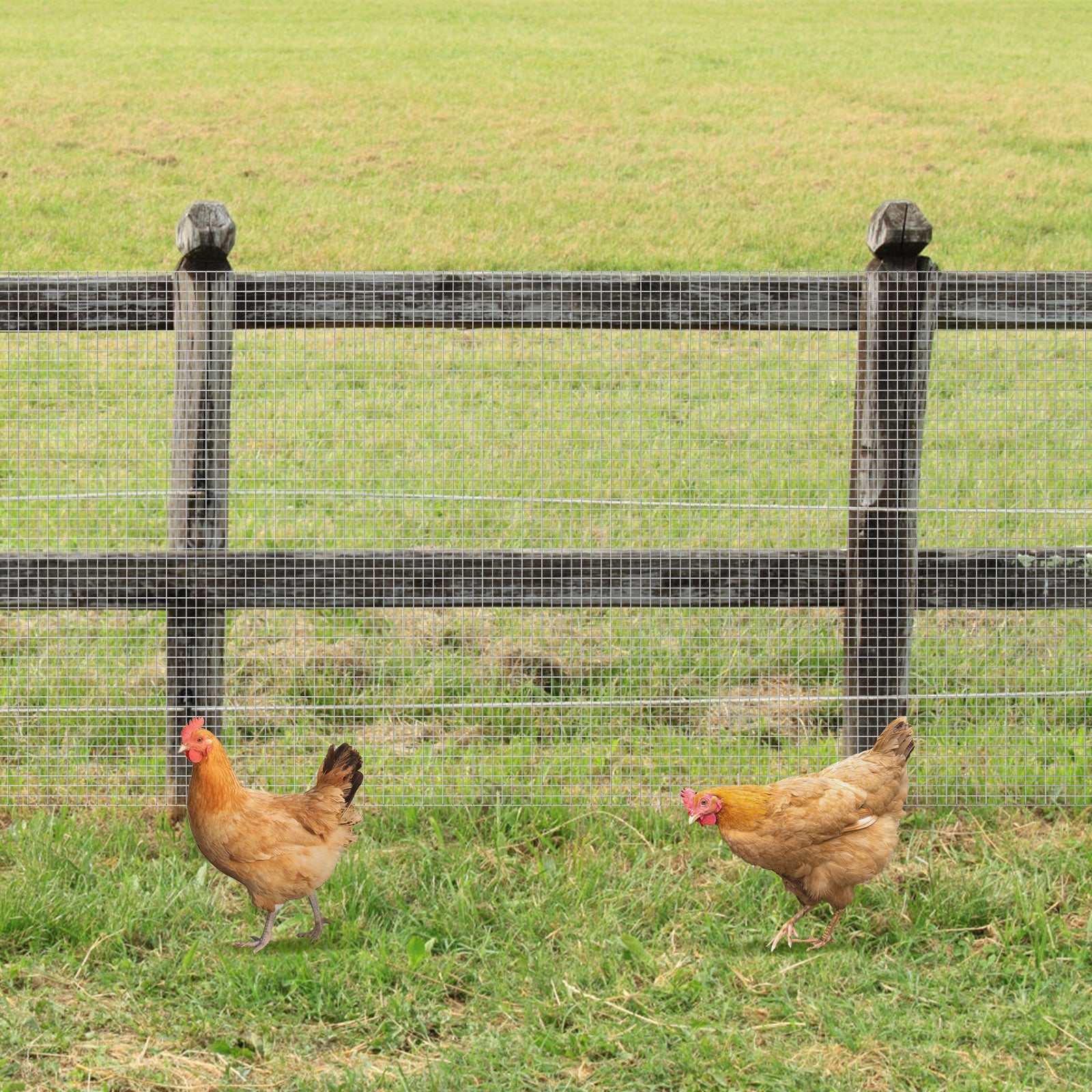 Hardware Cloth 1/4 inch (23 GA) 16in x 66ft/20ft Chicken Wire Fencing, Hot Dipped Galvanized Metal Wire Mesh Roll for Chicken Coop Rabbit Cages Snake Fence