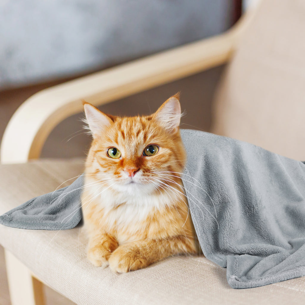 Soft Cozy Pet Throw for Canine Sleep Surfaces