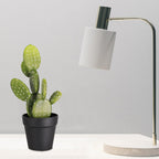 15.7" Artificial Cactus Potted Plant, Faux Desert Prickly Pear Cactus in Black Planter for Modern Home Office Decor
