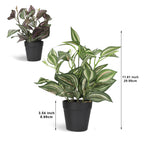 2-Pack Artificial Potted Plants, Mini Plastic Faux Flower Greenery for Living Room Bedroom Office & Desktop Decoration