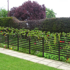 12-Pack Decorative Metal Garden Fence - 24"H Rustproof Pet Barrier & Flower Bed Edging with T-Shape Stakes,
