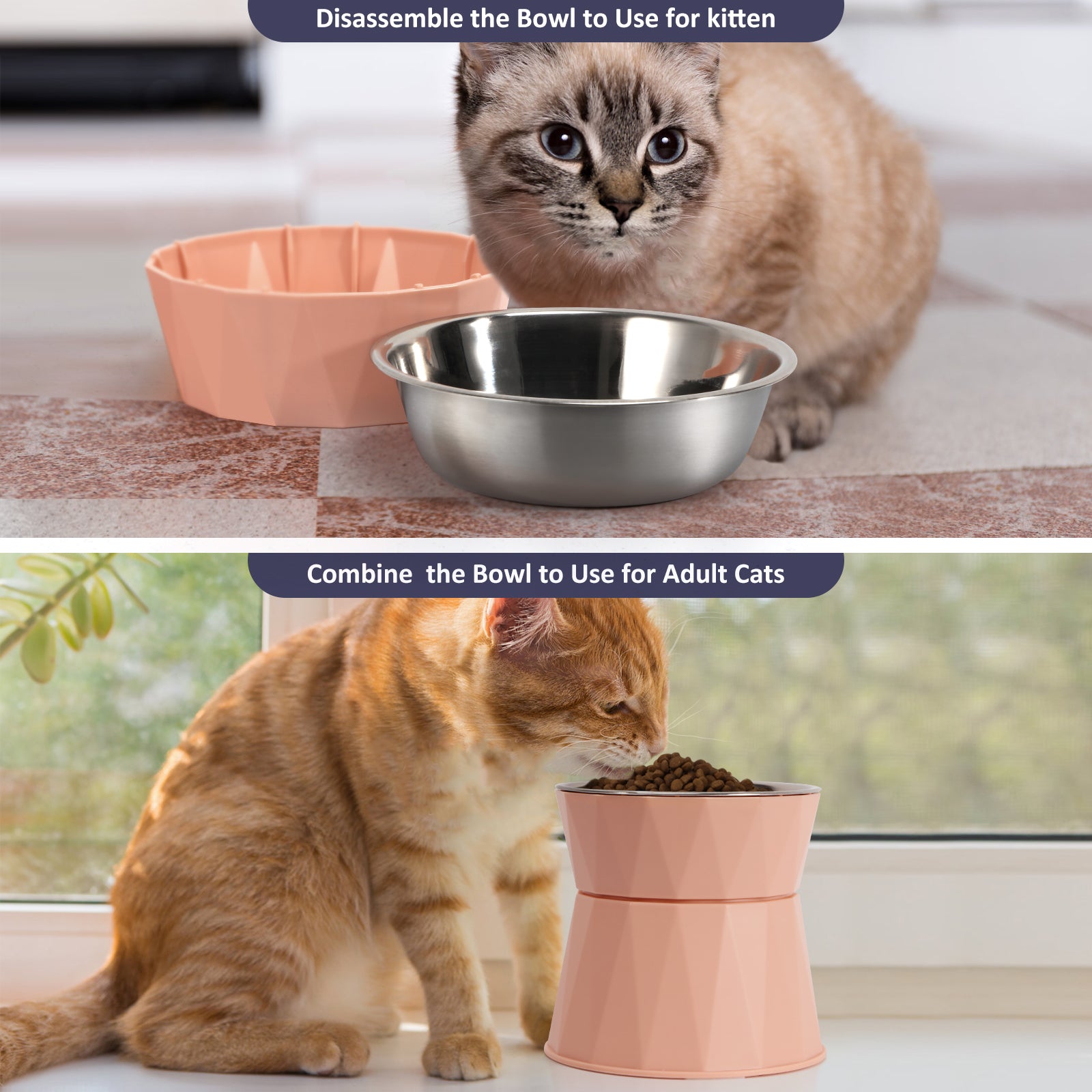 Detachable Blue Raised Pet Bowls - Double Layer Stainless Steel Elevated Feeder for Cats & Small Dogs, Spine Protection