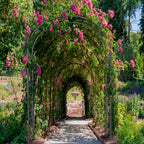 7FT Classic Round Garden Arch Trellis - Steel Frame Arbor for Vines - Decorative Pergola for Patio, Lawn & Backyard