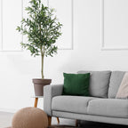 6FT Artificial Olive Tree - Lifelike Faux Potted Silk Tree with Realistic Trunk - Modern Home & Office Indoor Decoration