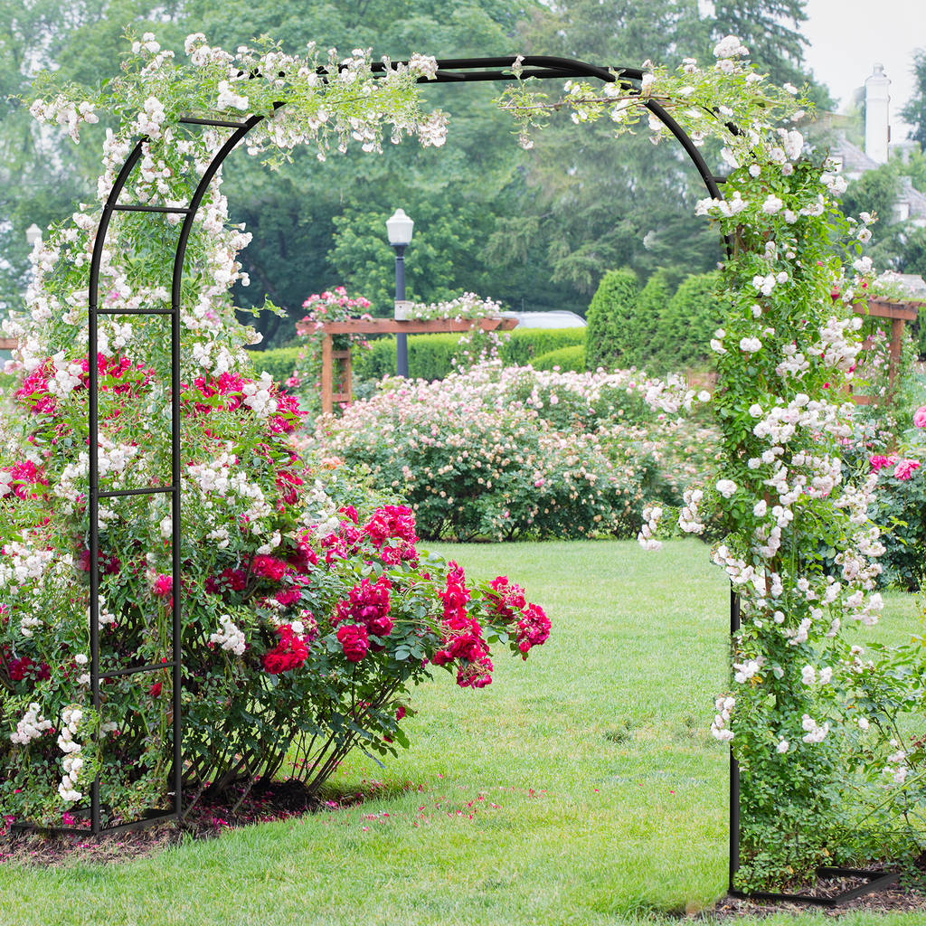 Adjustable Metal Garden Arch Trellis with Base, 2-in-1 Wide/High Size Wedding Arch, Black Garden Trellis for Climbing Plants, Wedding, Christmas, Party Decoration