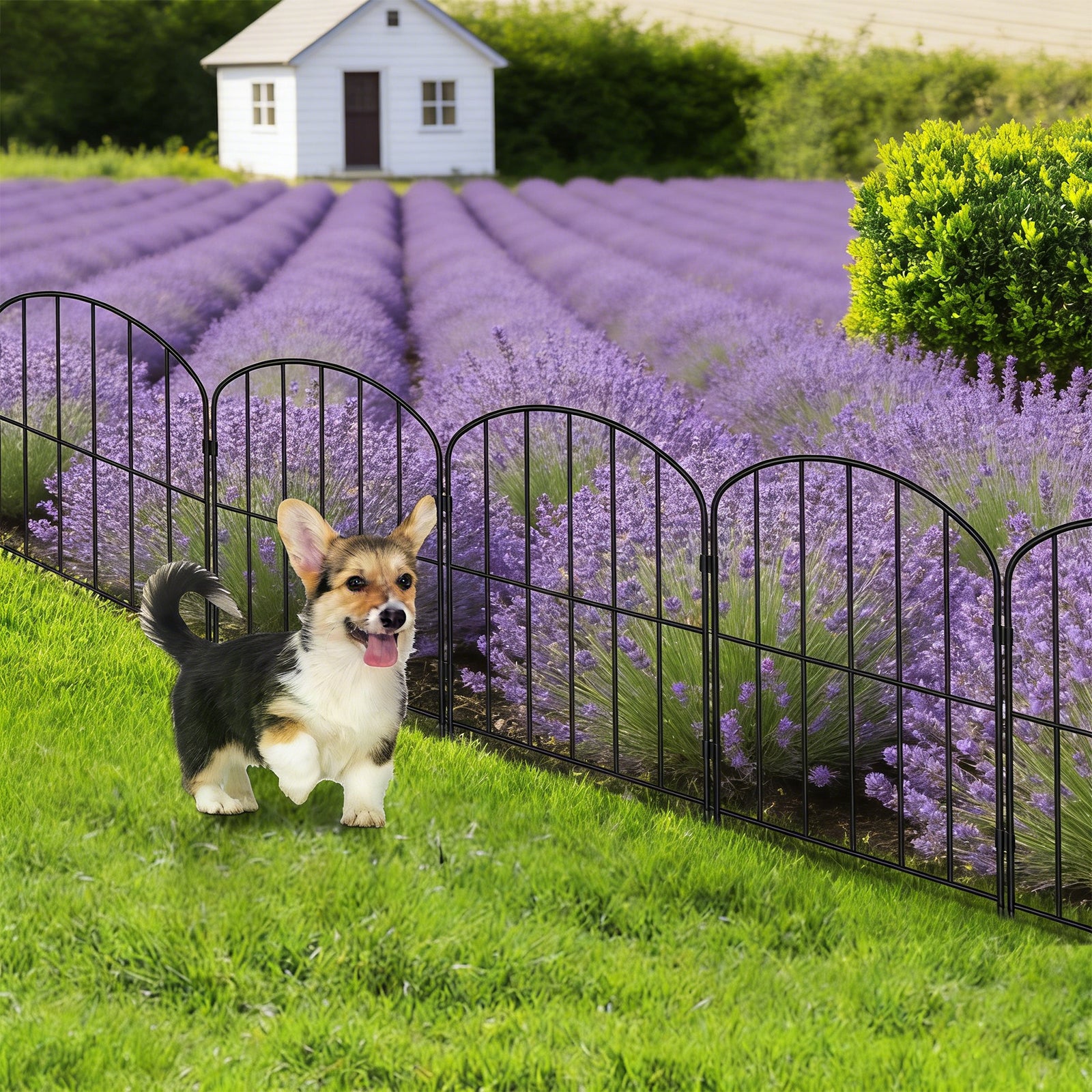 24" (H) x 10ft (L) Decorative Garden Fence - 10-Panel Rustproof Metal Border for Animals & Flower Beds, No-Dig Easy Install Yard Fencing, Arched