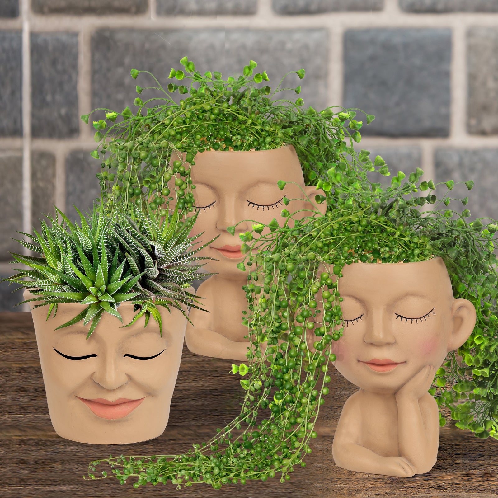 2-Pack Face Planter Pots with Drainage Hole - Cute Lady Head Succulent Pots for Indoor/Outdoor Decor