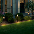 6 Pack Solar Pathway Lights - Warm White LED Outdoor Garden Lights, Auto On/Off Solar Powered Landscape Lighting for Yard, Patio, Walkway & Driveway