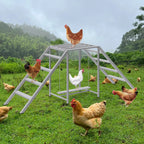 Wooden Chicken Roosting Bars & Perches with Swing - Coop Ladder & Activity Toy for Poultry