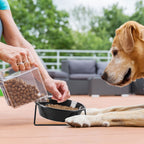 50-Pack Disposable Pet Feeding Bowls with Stand - 32 oz Paper Dog Dishes for Small to Medium Dogs - Travel Water & Food Bowls