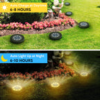 8 Pack Solar Ground Lights, 8 LED Waterproof Solar Disk Lights, IP65 Outdoor Landscape Lighting for Garden, Pathway, Yard & Walkway (Cool White/Warm White)