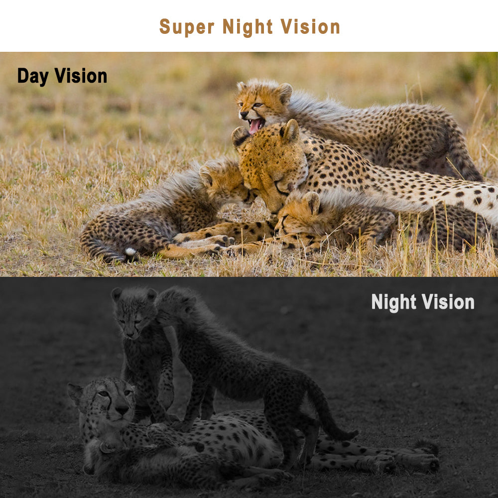 1080P HD Trail Game Camera - 12MP Motion Activated Hunting Camera with 120Â¡Ã£ Wide Angle & Night Vision - IP45 Waterproof for Wildlife